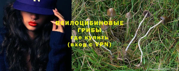 СК Алексеевка