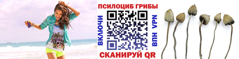 Галлюциногенные грибы мицелий  закладки  Звенигород 