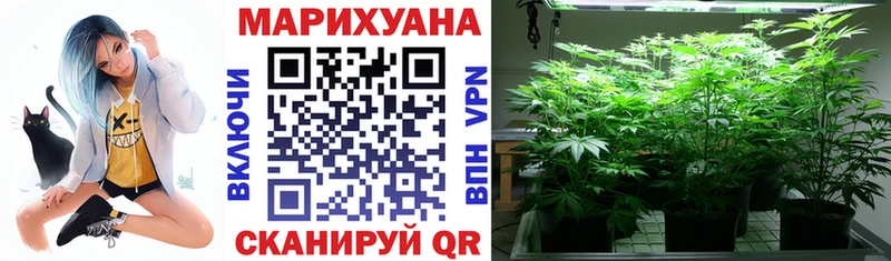 mega маркетплейс  Звенигород  Марихуана индика  наркошоп 